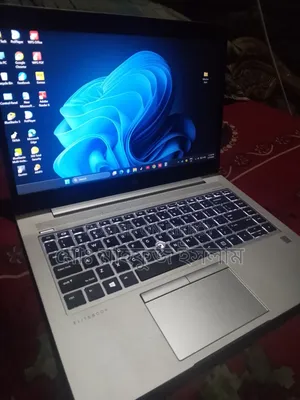 Laptop HP EliteBook 745 G6 8GB AMD Ryzen 5 SSD 256GB