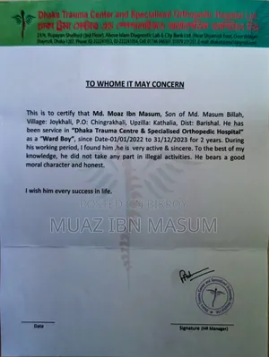 Curriculum Vitae