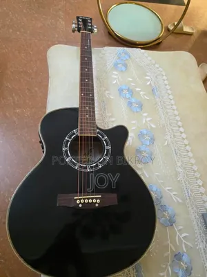 Winfer Guitar (Semi Electric)