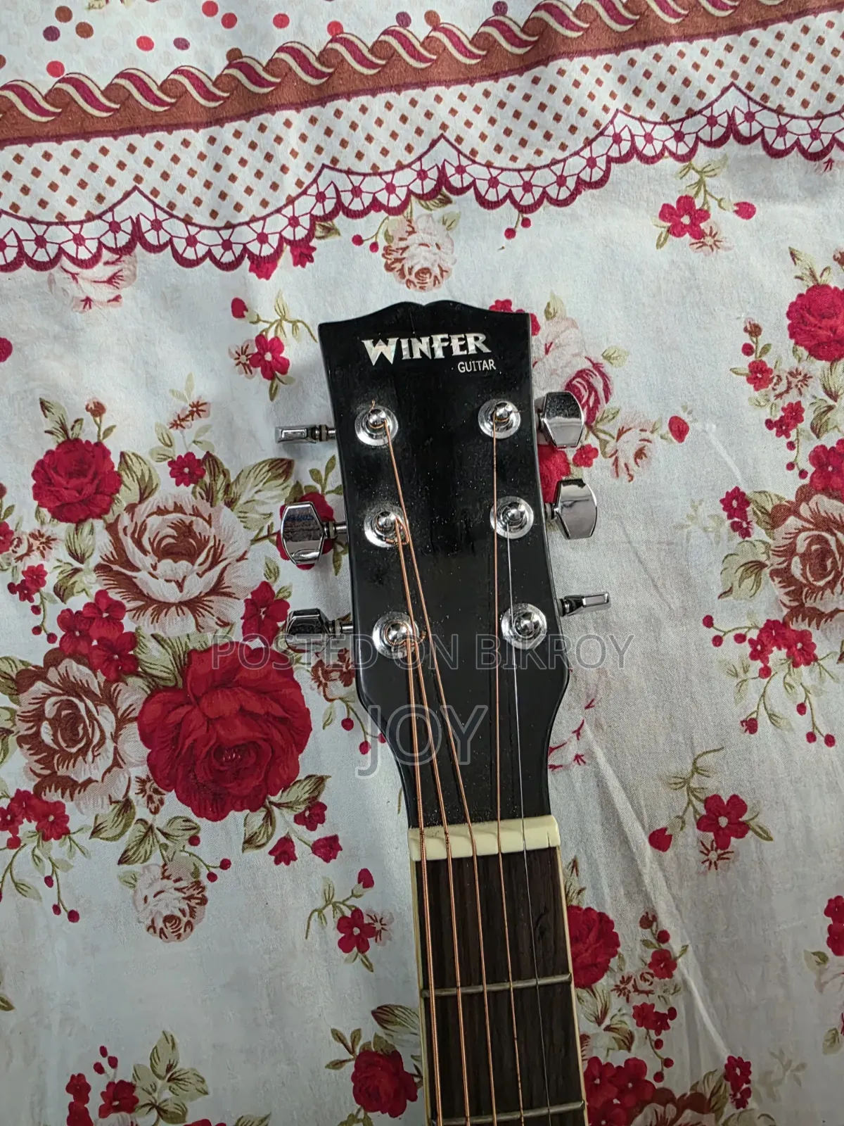 Winfer Guitar (Semi Electric)