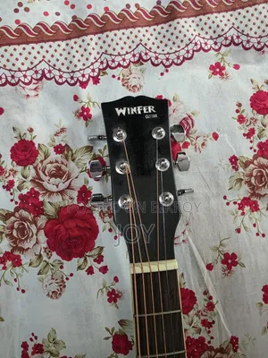 Winfer Guitar (Semi Electric)