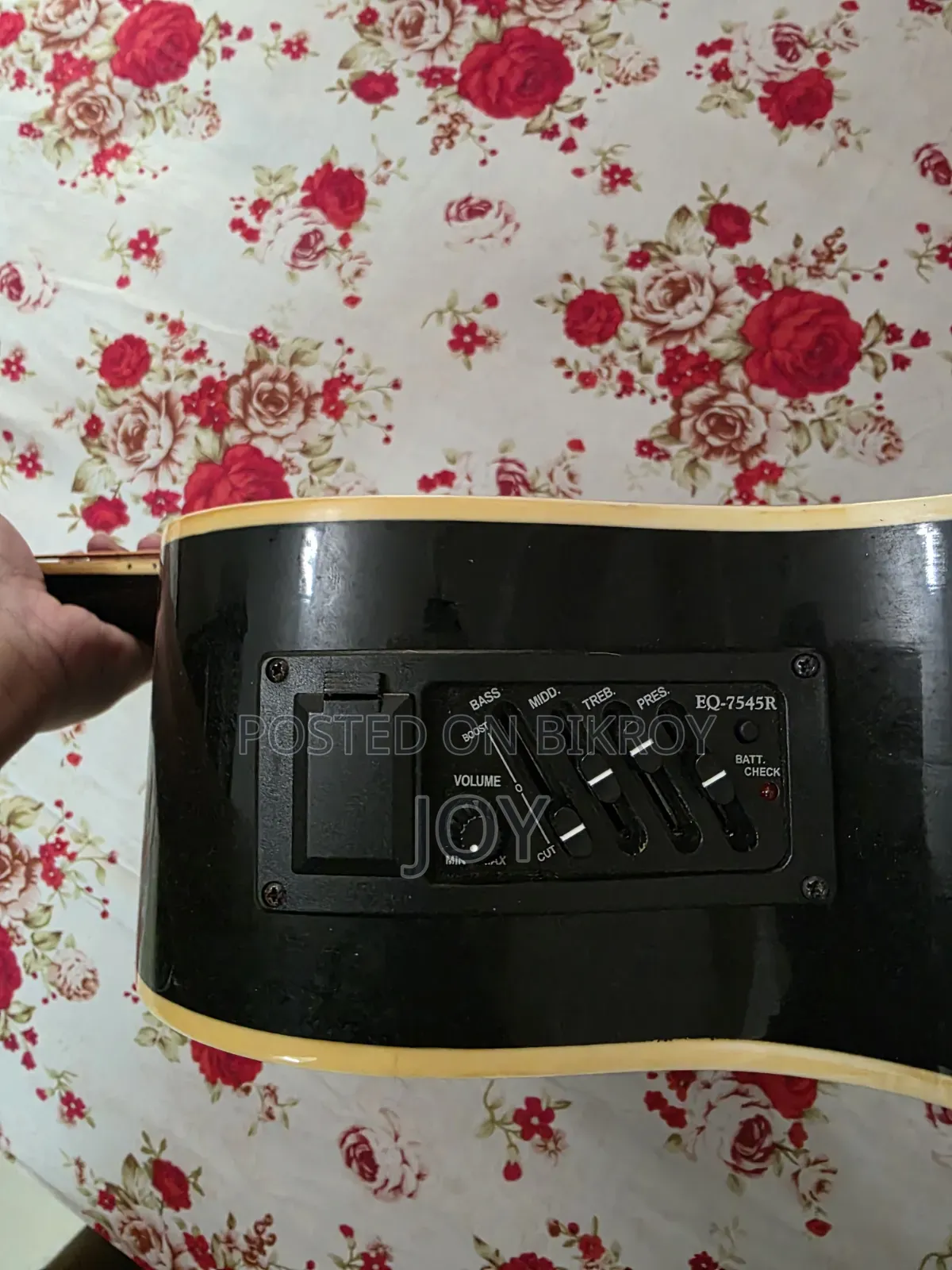 Winfer Guitar (Semi Electric)