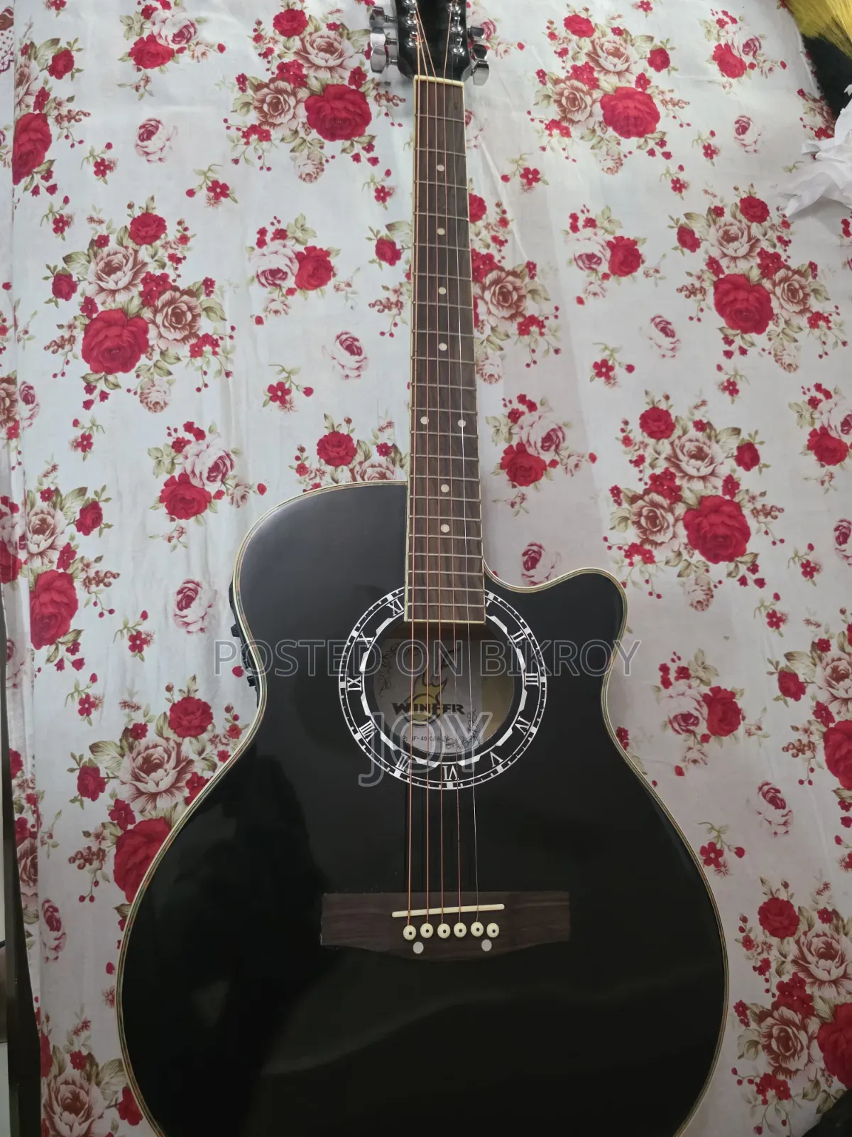 Winfer Guitar (Semi Electric)