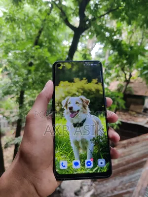 অপো F19 প্রো ১২৮ জিবি গ্রে