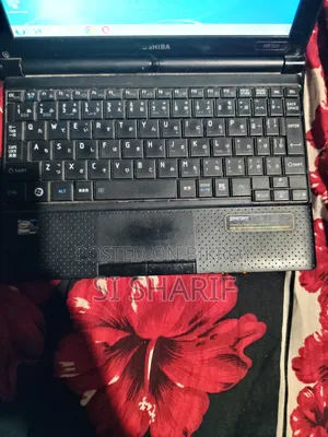Laptop Toshiba NB505 Mini 3GB Intel Core I5 HDD 500GB