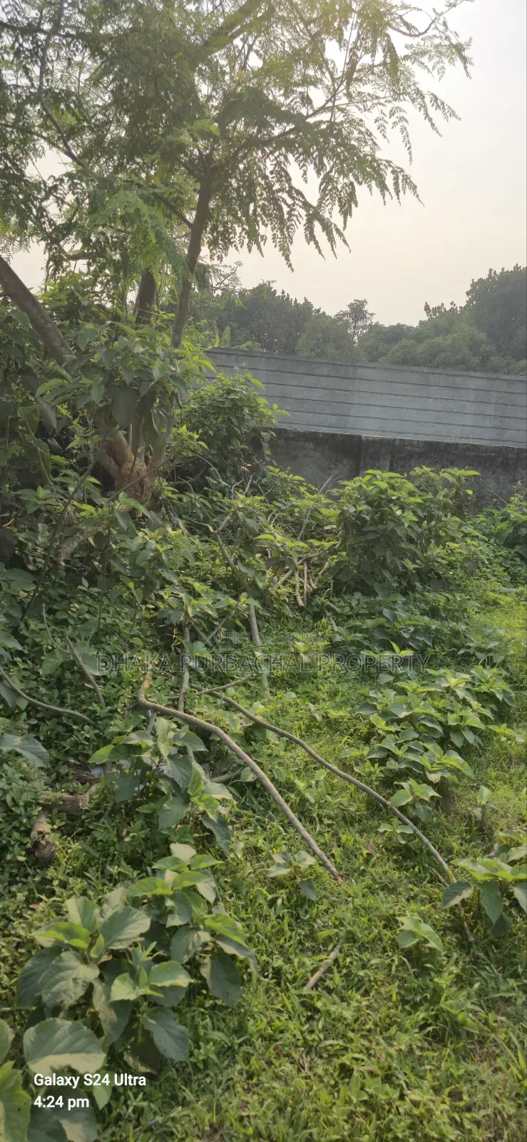 10 Katha Allotted Plot Sell