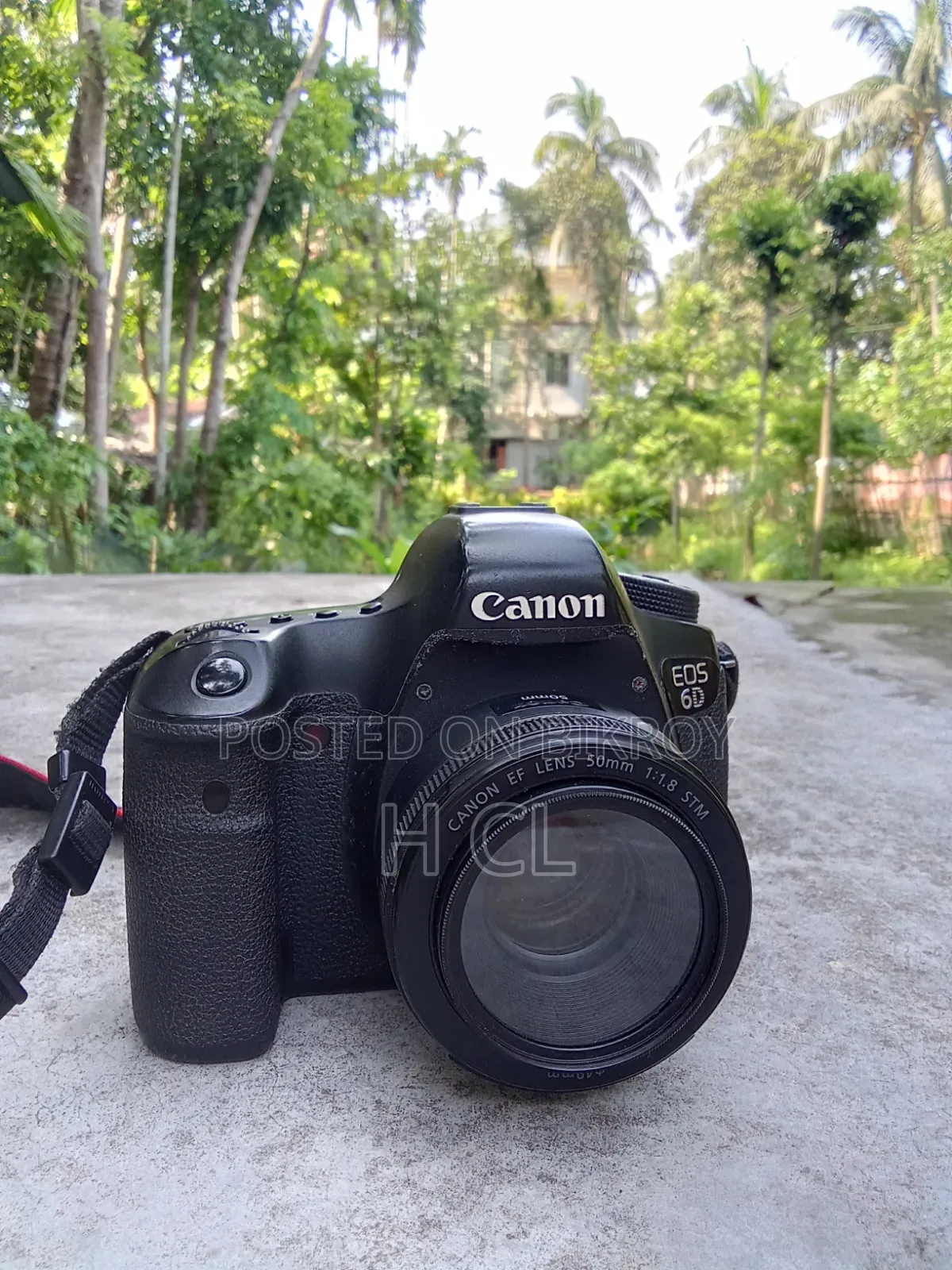 Canon EOS 6D (With/Without 50mm Prime)