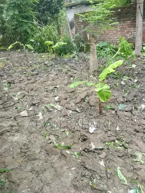 ছোট জমি বিক্রয় হবে