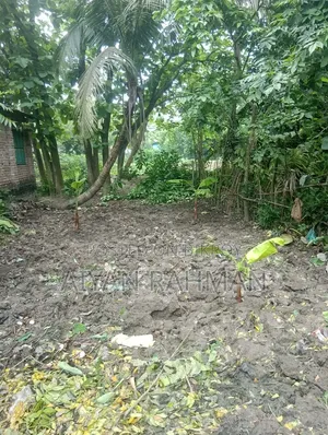 ছোট জমি বিক্রয় হবে