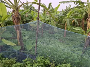 5 Katha Land Sector 26