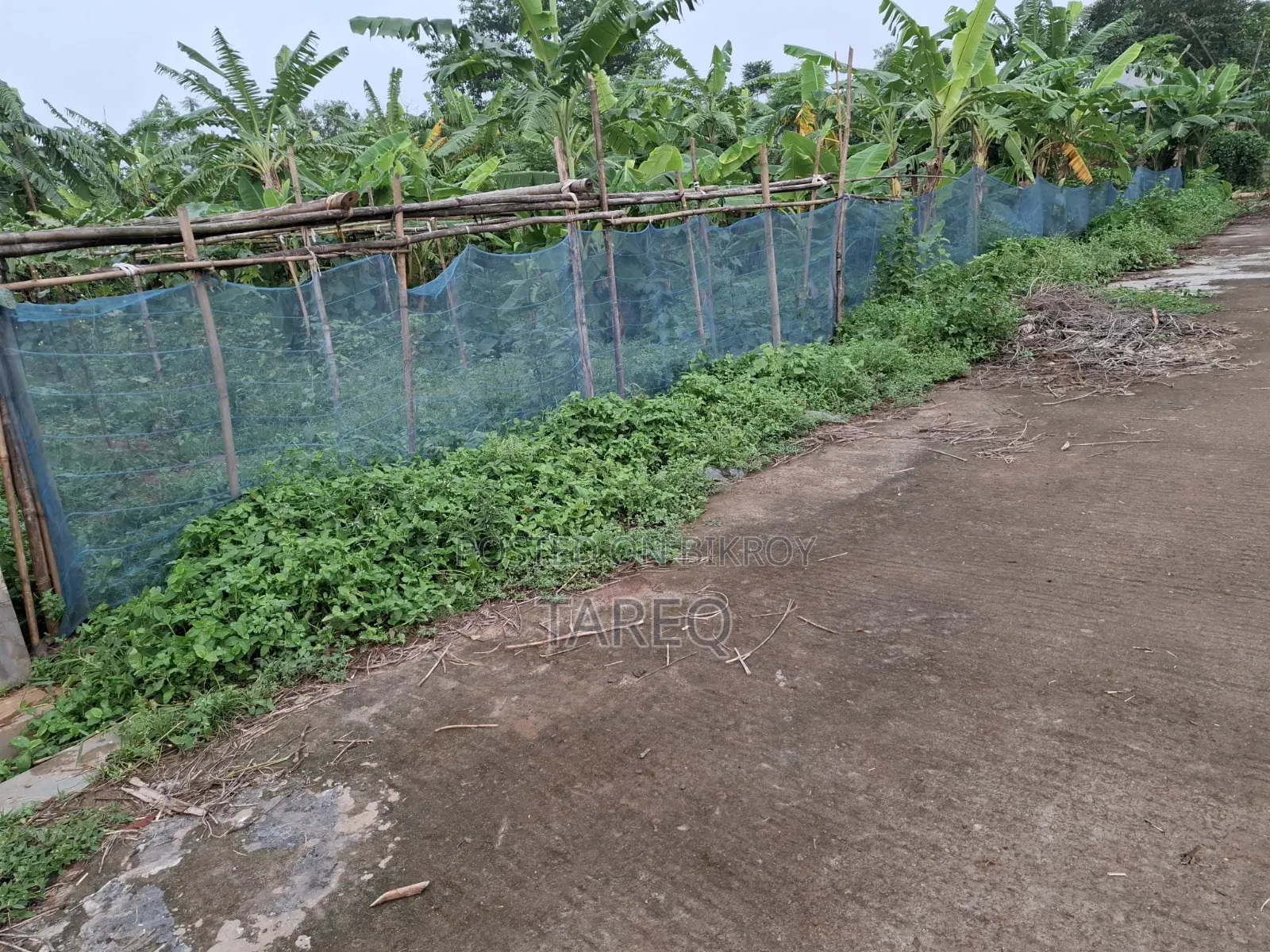 5 Katha Land Sector 26