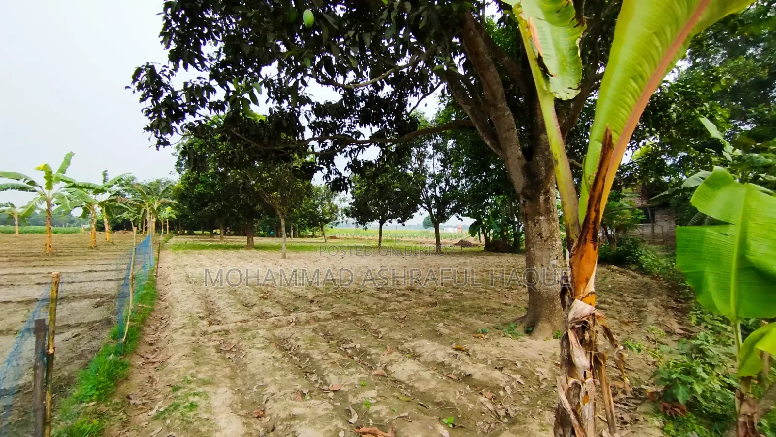 ১৯ কাঠা জমি বিক্রি