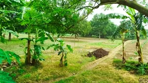 ১৯ কাঠা জমি বিক্রি