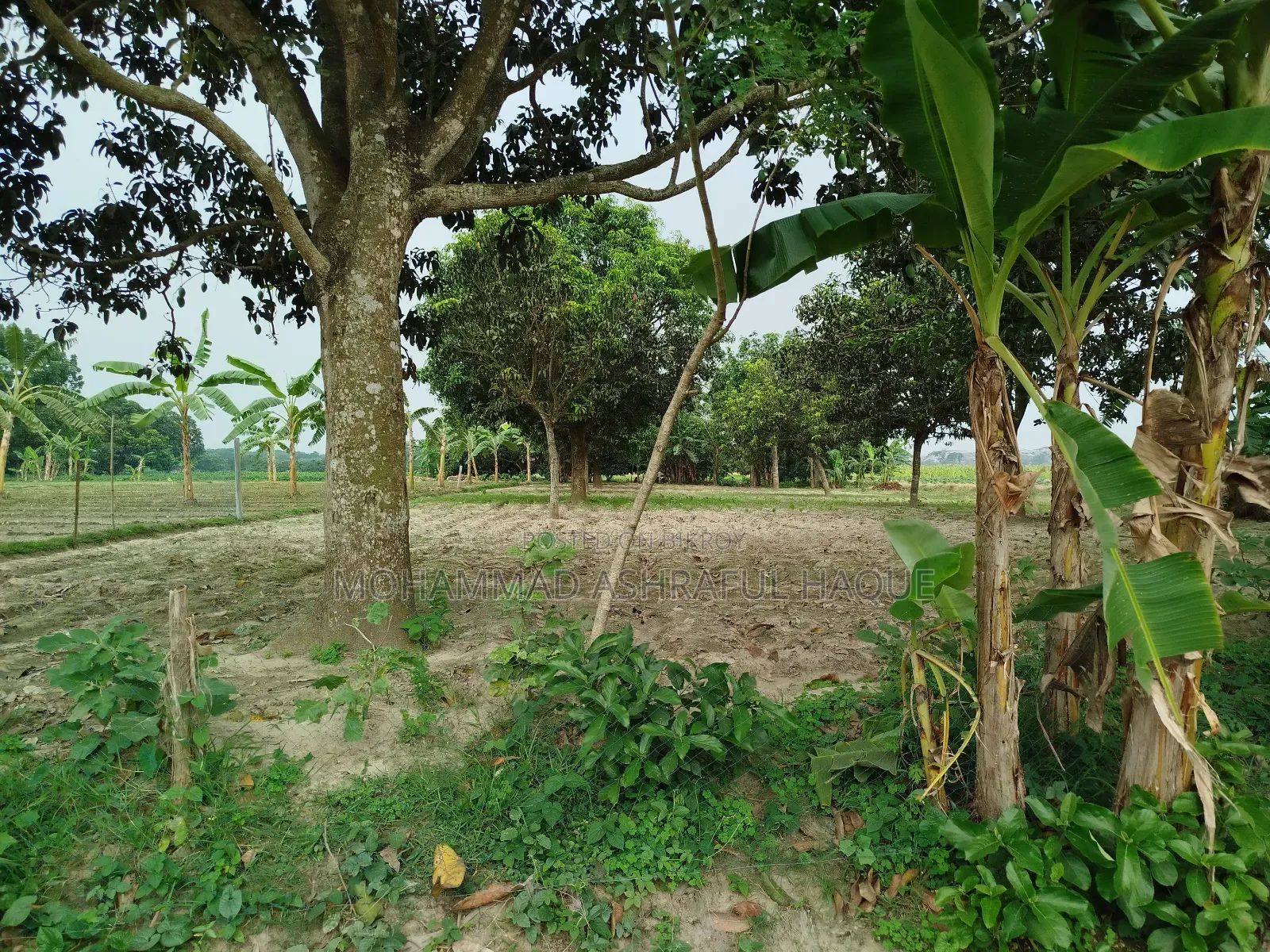 ১৯ কাঠা জমি বিক্রি