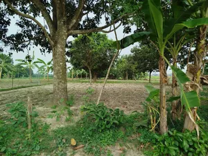 ১৯ কাঠা জমি বিক্রি