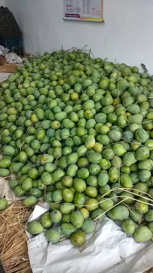 Gopalbhog Mango