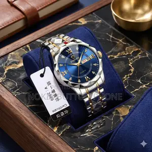 Binbond 2521 Luxury Brand Luminous Quartz Watch for Men (Blue)