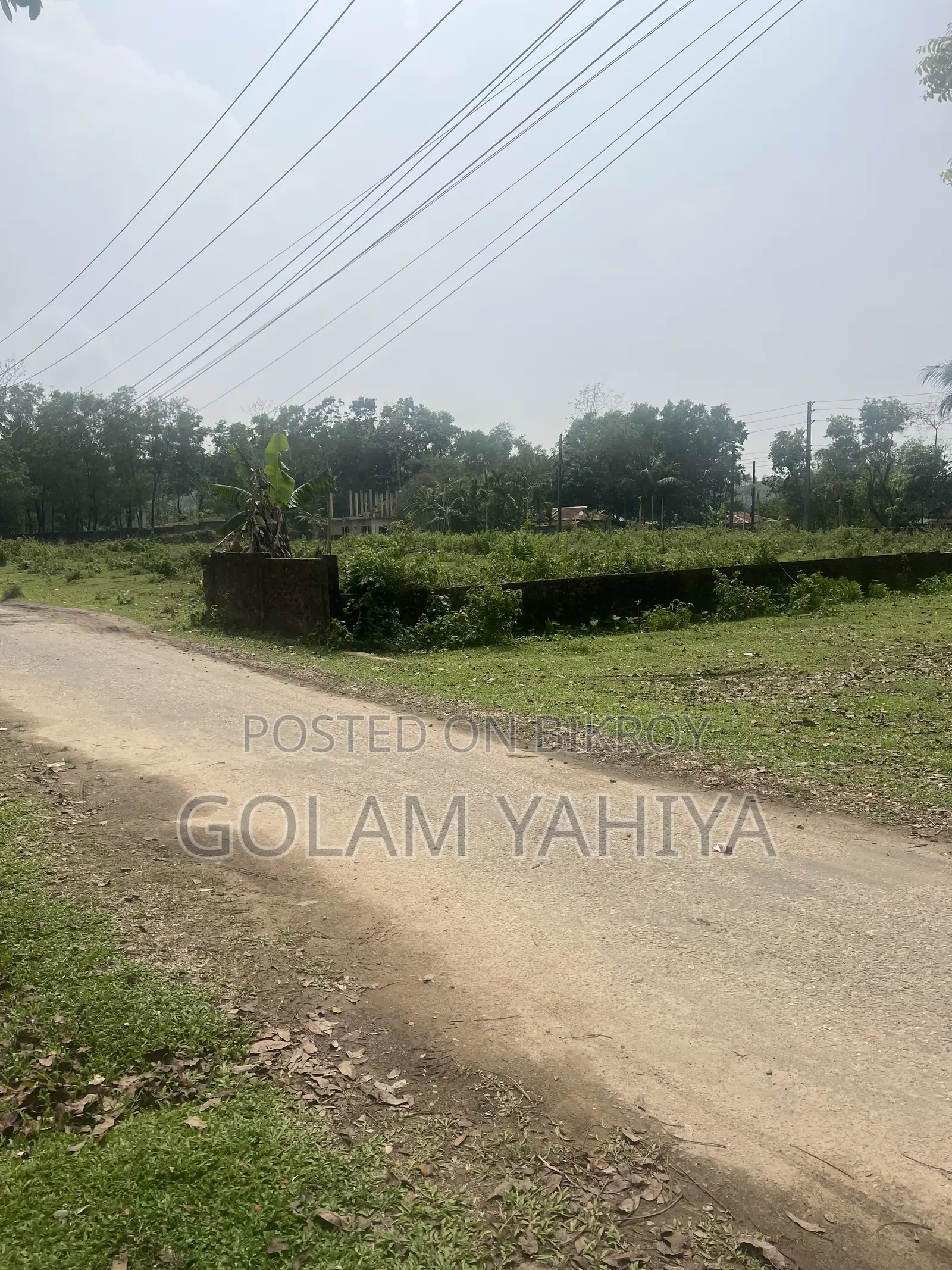 সিলেট বিমানবন্দরের কাছে বিক্রয়ের জন্য প্রধান আবাসিক প্লট