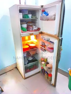 শার্প ২৫৬ লিটার ডাবল ডোর রেফ্রিজারেটর