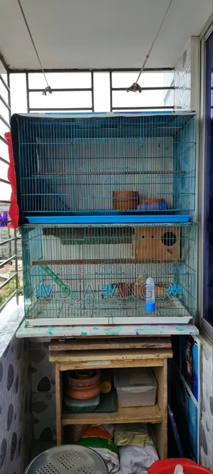 একটি চায়না খাঁচা বিক্রি হবে
