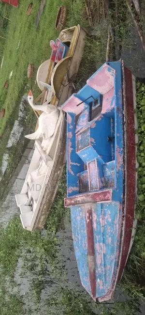 Paddle Boat