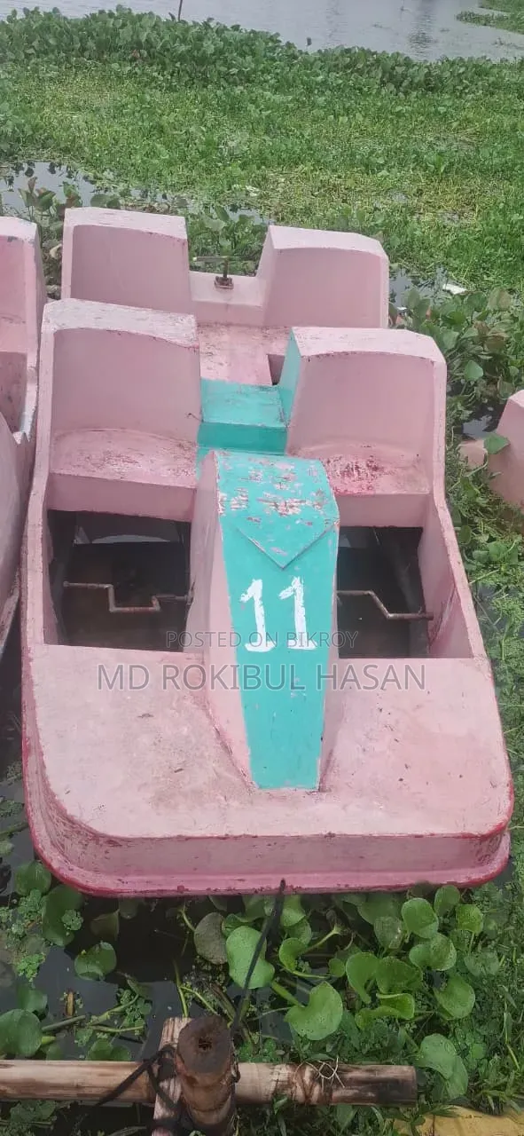 Paddle Boat