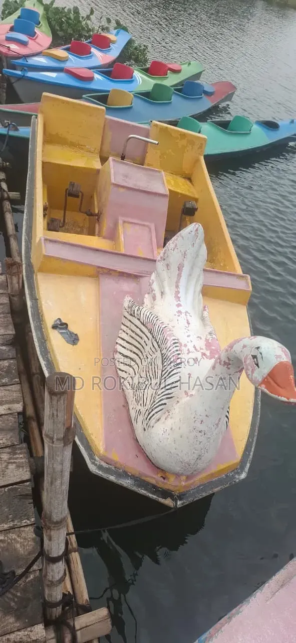 Paddle Boat