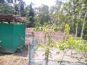 ১৩ শতাংশ জমি বিক্রি করা হবে লোকেশন কাগাশুরা আমিরগঞ্জ এর মাজামাজি