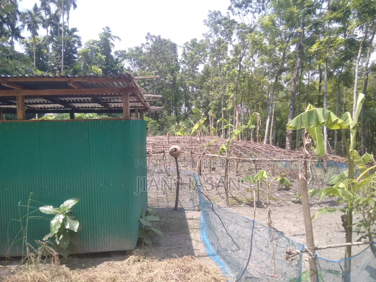 ১৩ শতাংশ জমি বিক্রি করা হবে লোকেশন কাগাশুরা আমিরগঞ্জ এর মাজামাজি