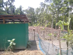 ১৩ শতাংশ জমি বিক্রি করা হবে লোকেশন কাগাশুরা আমিরগঞ্জ এর মাজামাজি