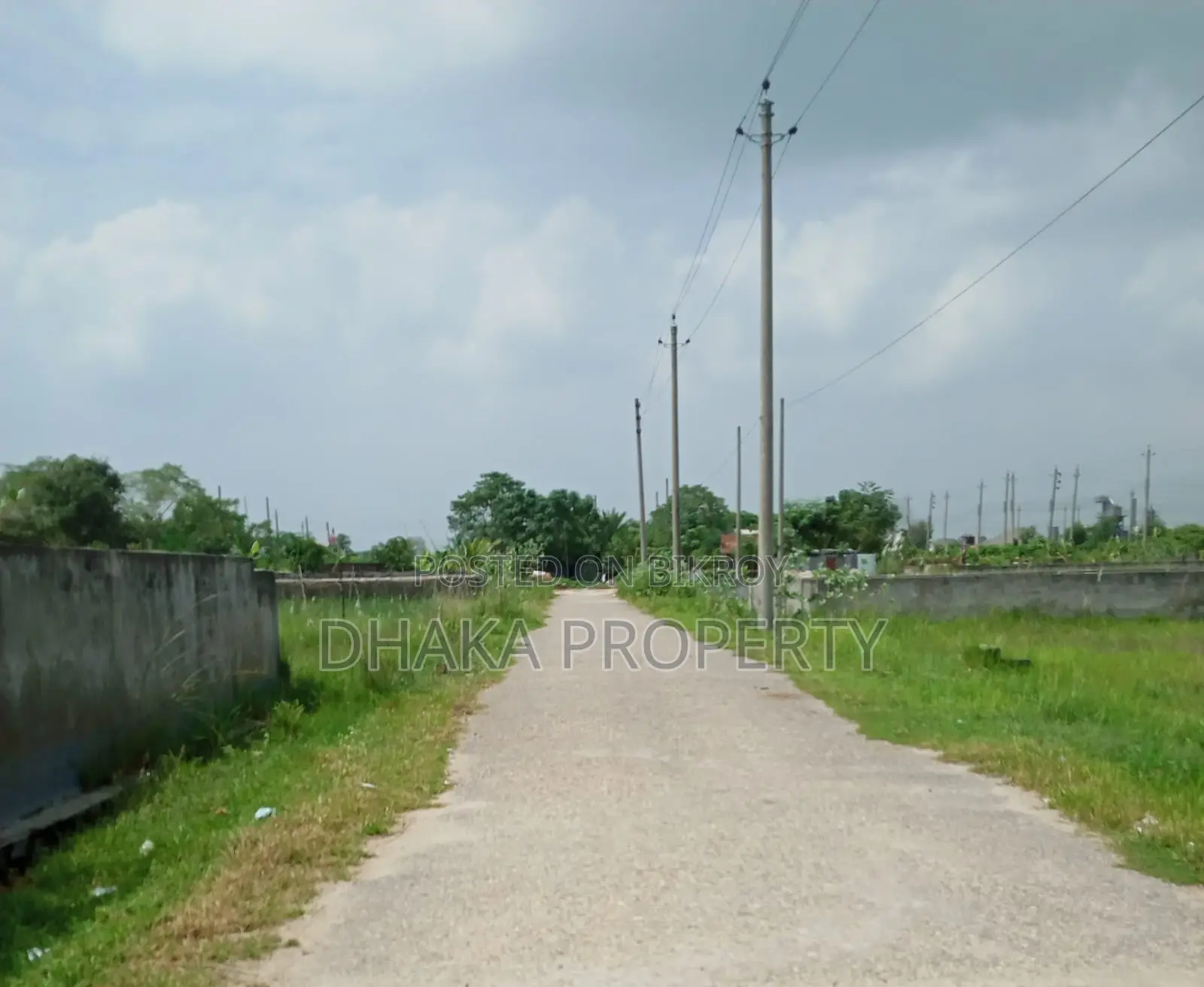 3 Katha East Facing Plot Near Park Sector-22
