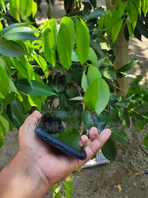 Xiaomi Redmi Note 9S 64 GB Blue