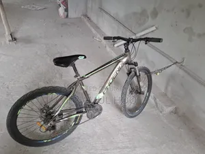 Phoenix Bicycle 7/3 Gear.