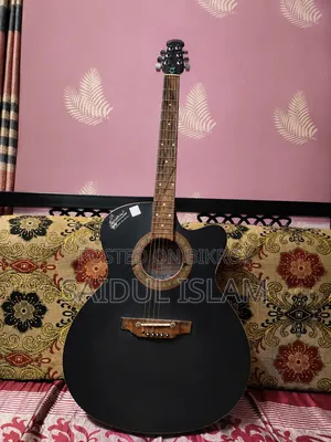 Signature 265 Guitar