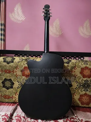 Signature 265 Guitar