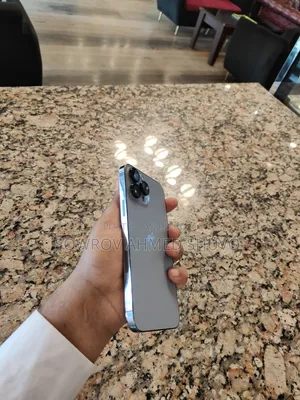 Apple iPhone 13 Pro Max 256 GB