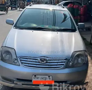 Toyota Corolla Fielder 2004 Silver