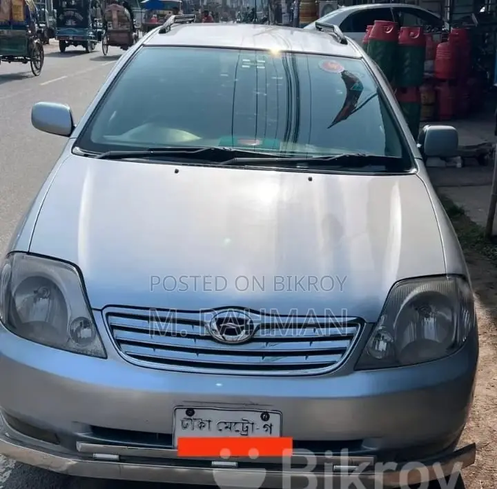 Toyota Corolla Fielder 2004 Silver