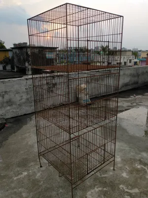 কবুতরের খাঁচা