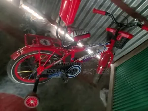16-inch Duronto Bicycle