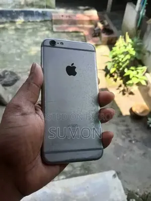Apple 8 GB Silver