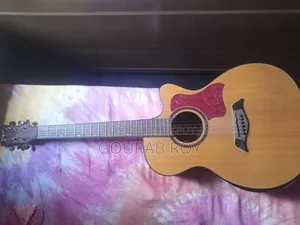 Deviser Ls-570-40 Pure Acoustic Guitar