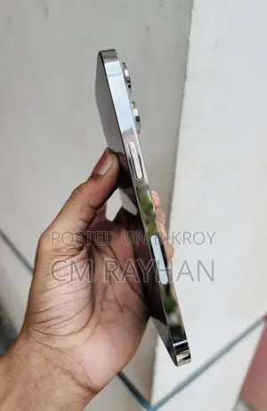 Apple iPhone 14 Pro Max 256 GB Silver