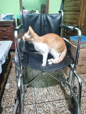 Wheelchair for Sale