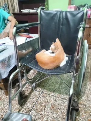 Wheelchair for Sale
