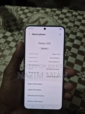 Samsung Galaxy S25 256 GB Blue