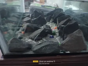5 Mm Clear Glass Aquariam