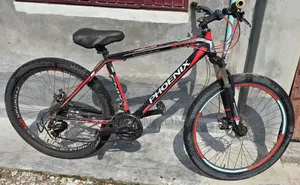ফিনিক্স মাউন্টেন বাইক
