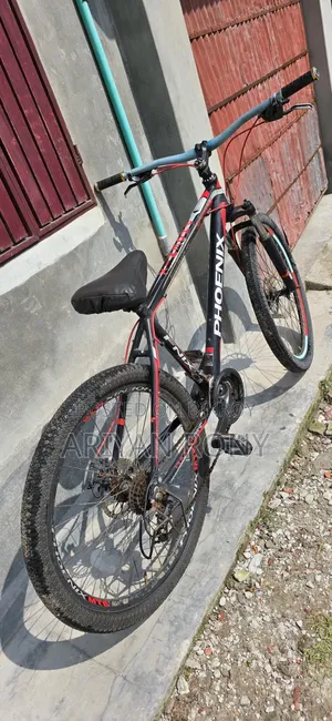 ফিনিক্স মাউন্টেন বাইক
