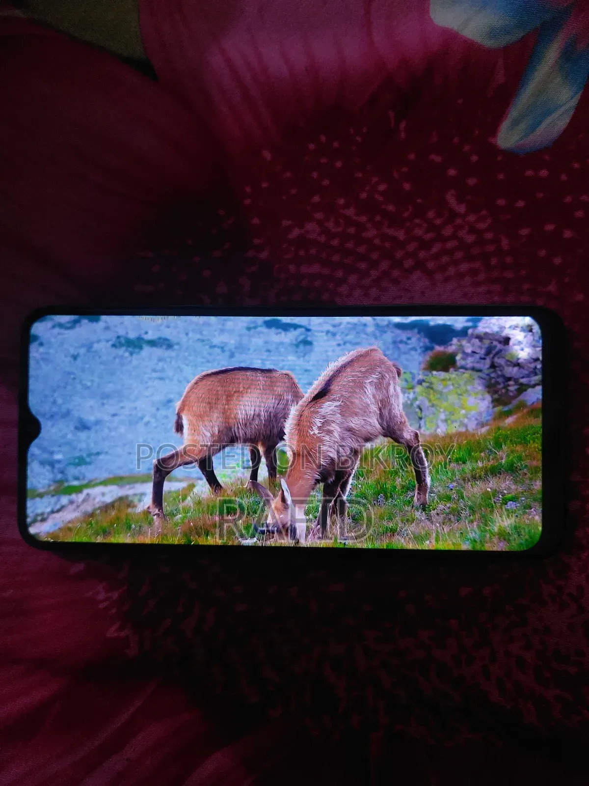 Realme 6i 128 GB Green